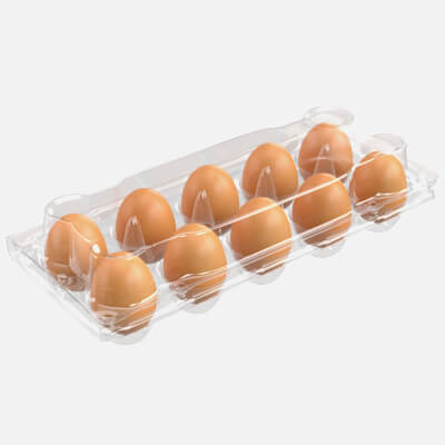Egg Plastic Package 10 Eggs v2