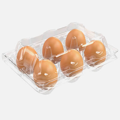 Egg Plastic Package 6 Eggs