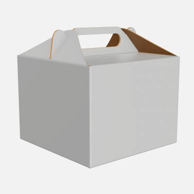 Gable Box Cardboard Food Packaging 02 White