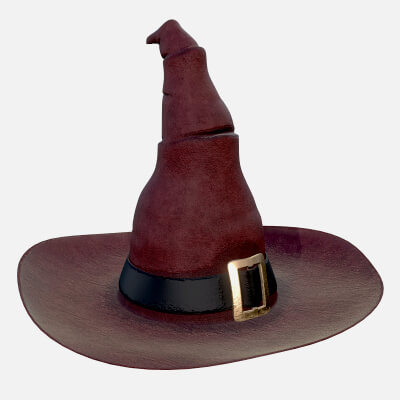 Halloween Witch Hat