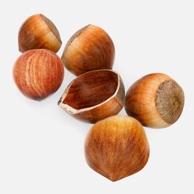 Hazelnuts 03