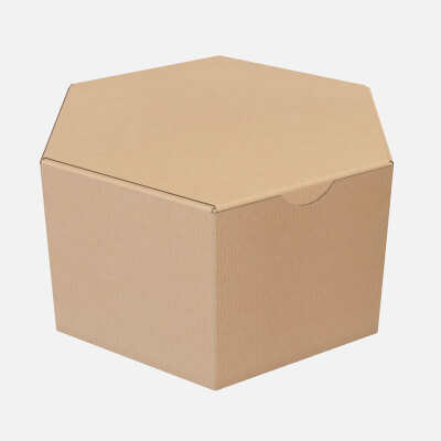 Hexagonal Paper Box Packaging Closed 01 Corrugated Cardboard