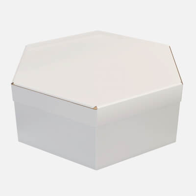 Hexagonal Paper Box Packaging Closed 02 Cardboard White