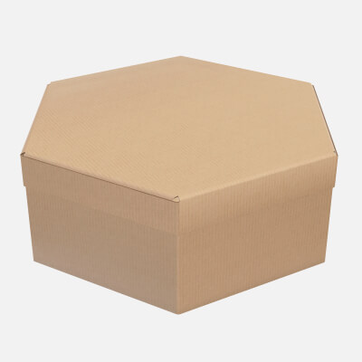 Hexagonal Paper Box Packaging Closed 02 Corrugated Cardboard