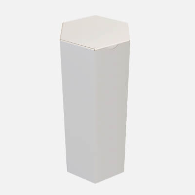 Hexagonal Paper Box Packaging Closed 03 Cardboard White