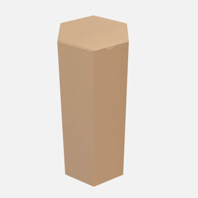 Hexagonal Paper Box Packaging Closed 03 Corrugated Cardboard