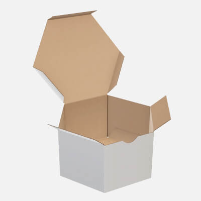 Hexagonal Paper Box Packaging Open 01 Cardboard White