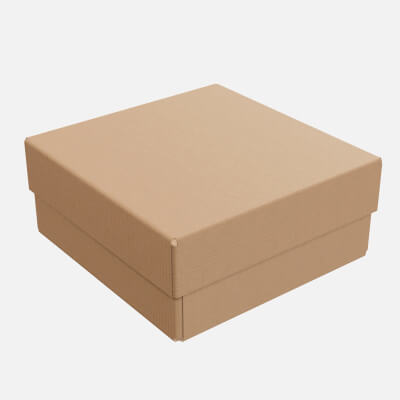 Lid and Tray Cardboard Box 05