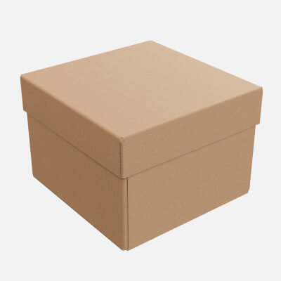 Lid and Tray Cardboard Box 06