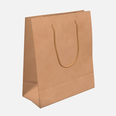 Paper Bag Large with String Handle