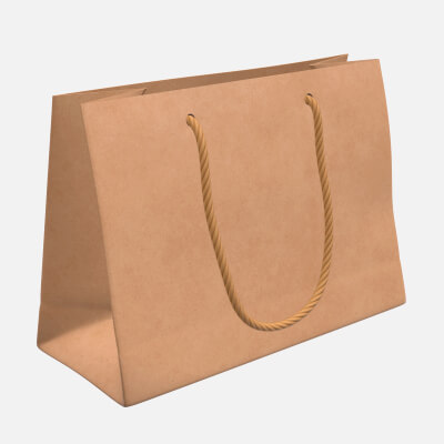 Paper Bag Medium with String Handle