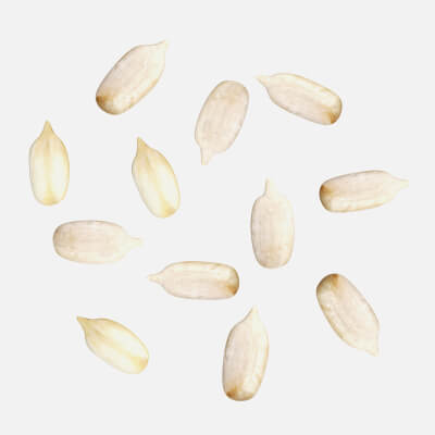Sunflower Seeds 02