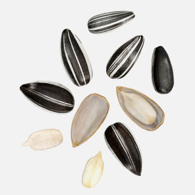 Sunflower Seeds 03