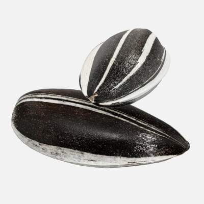 Sunflower Seeds 04