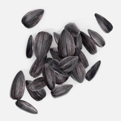 Sunflower Seeds 06