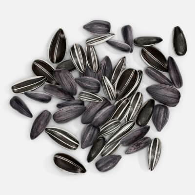 Sunflower Seeds 09