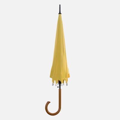 Umbrella Classic 02