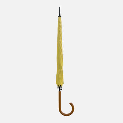 Umbrella Classic 03