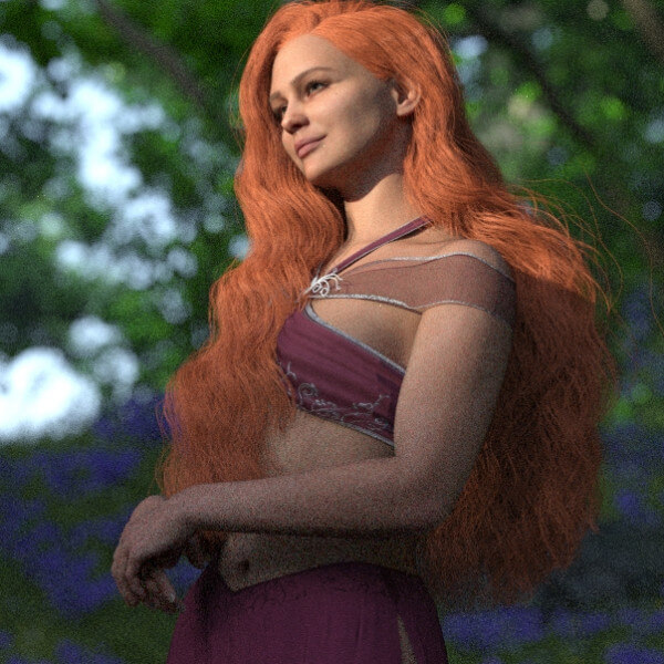 Day in the Forest