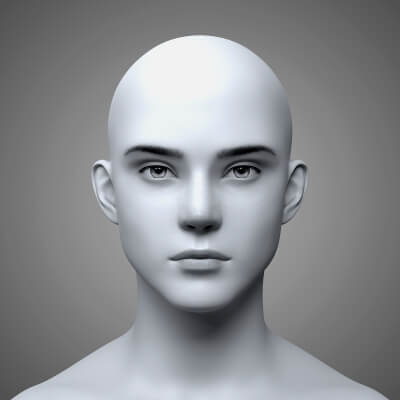Young Male Head