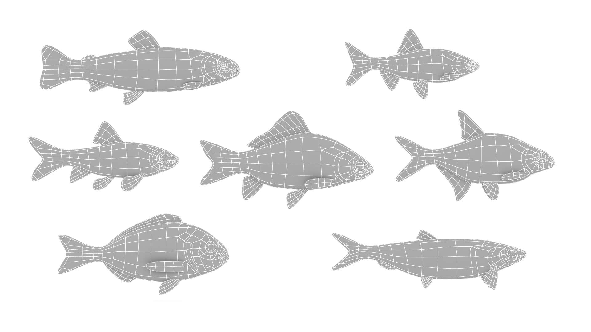 Fish Collection 3D Model