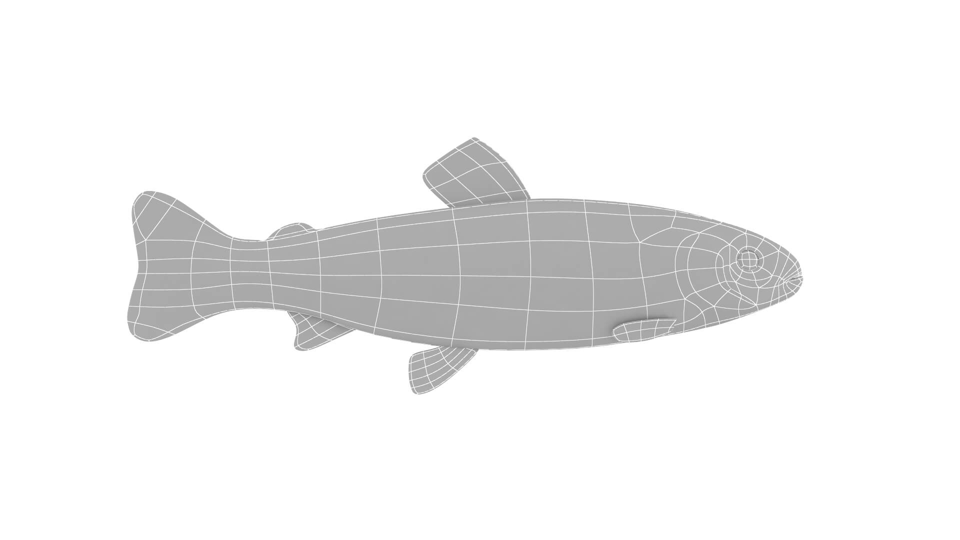 Fish Collection 3D Model
