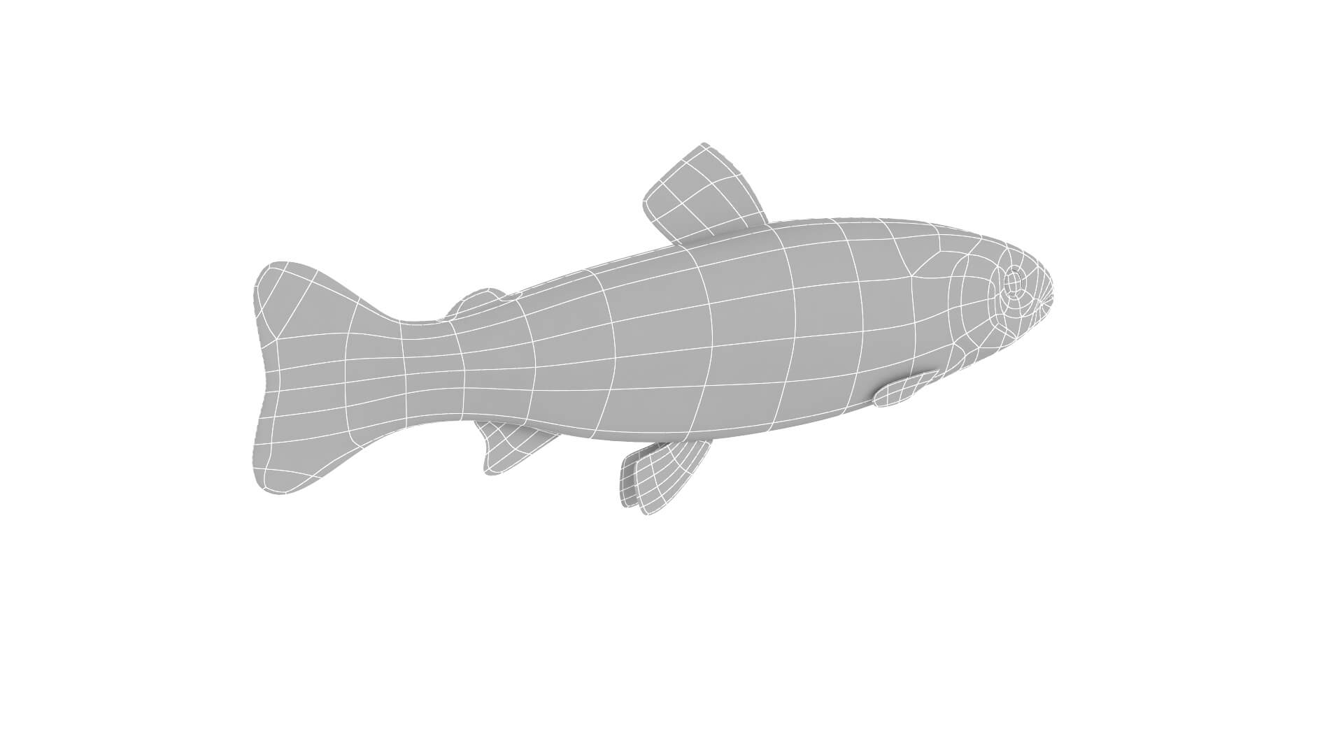 Fish Collection 3D Model