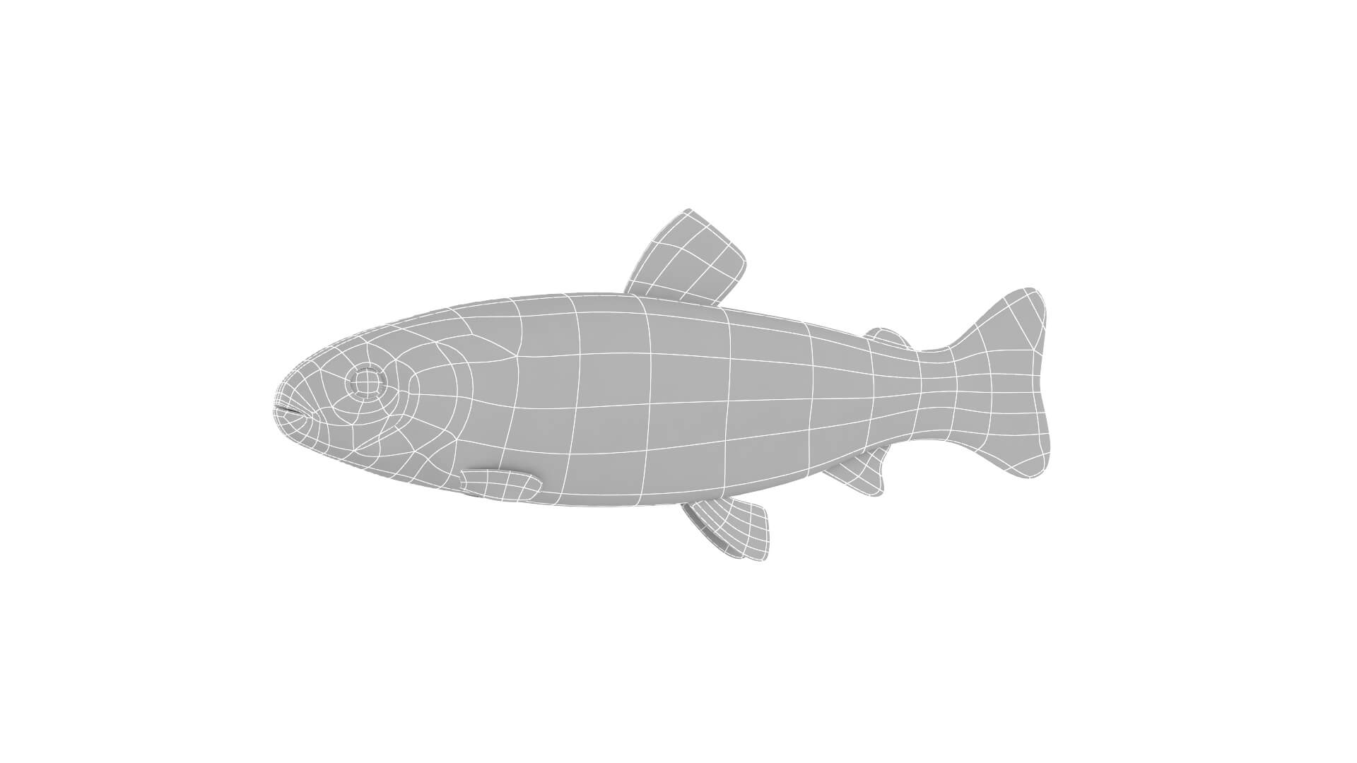 Fish Collection 3D Model