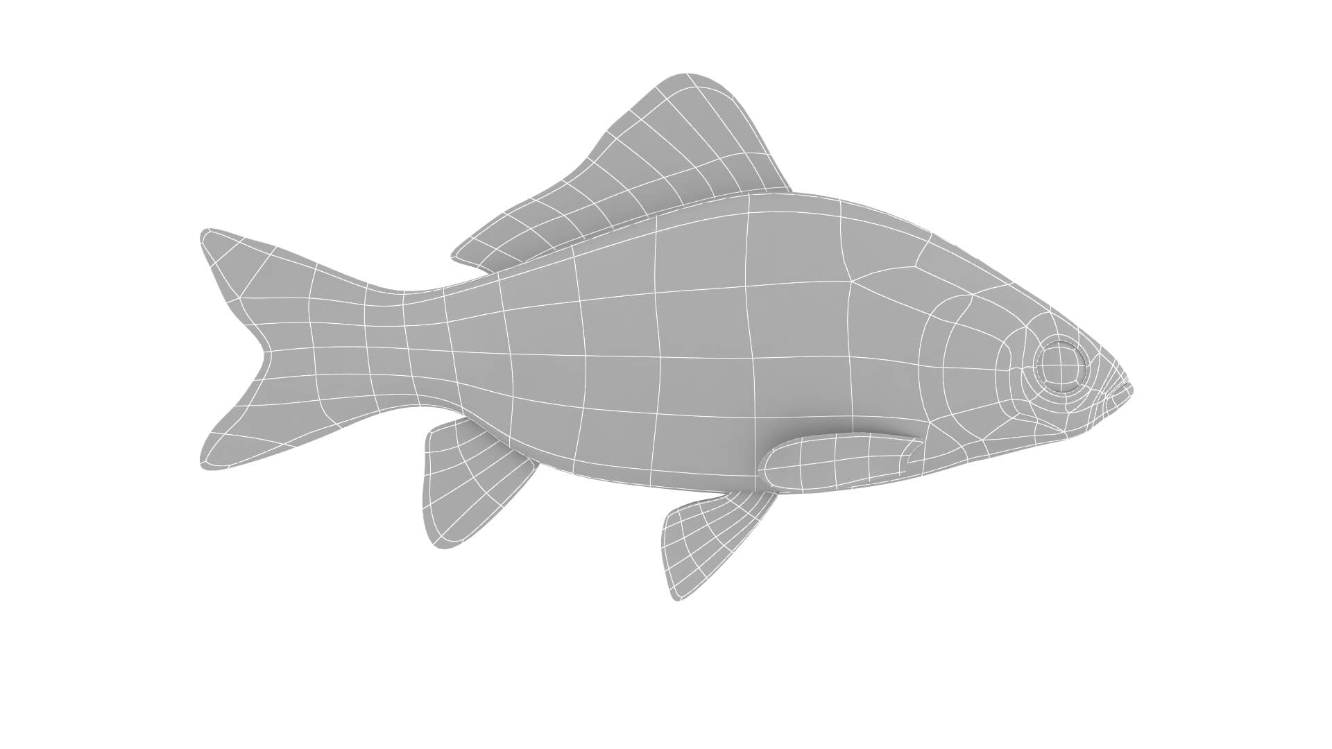 Fish Collection 3D Model