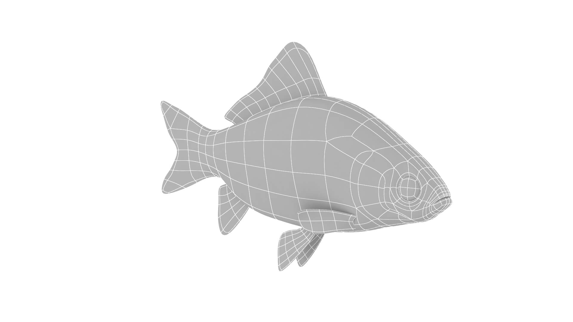 Fish Collection 3D Model