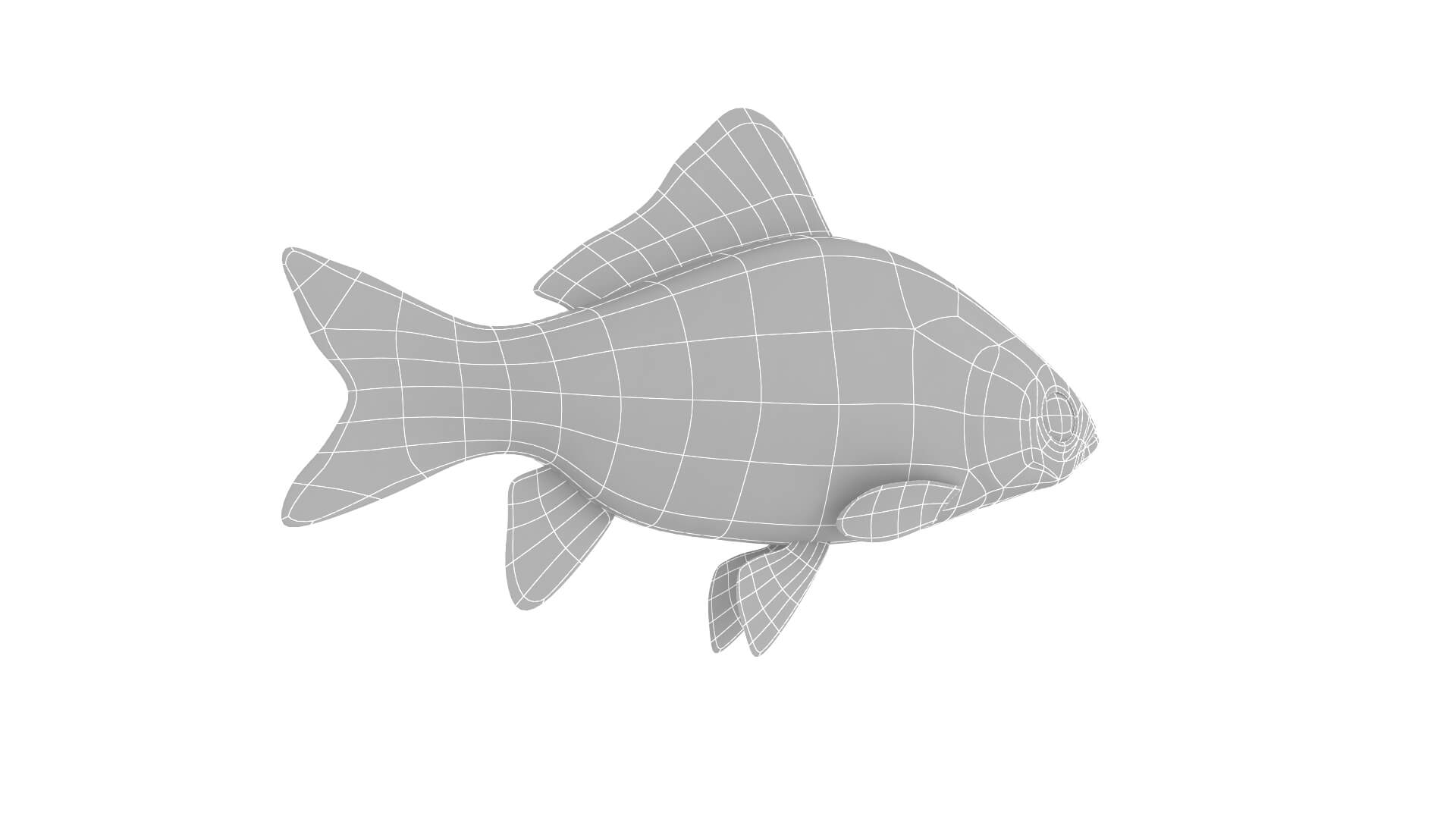 Fish Collection 3D Model