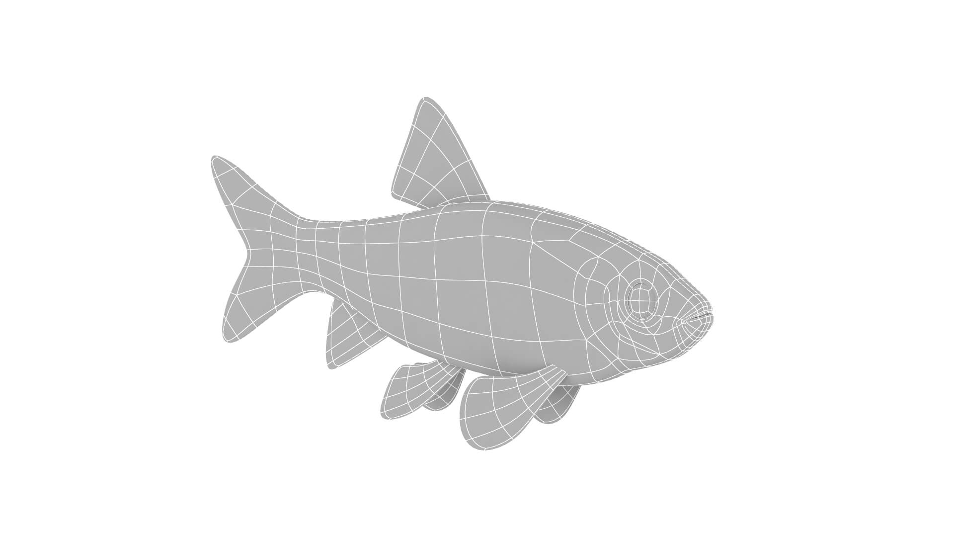 Fish Collection 3D Model