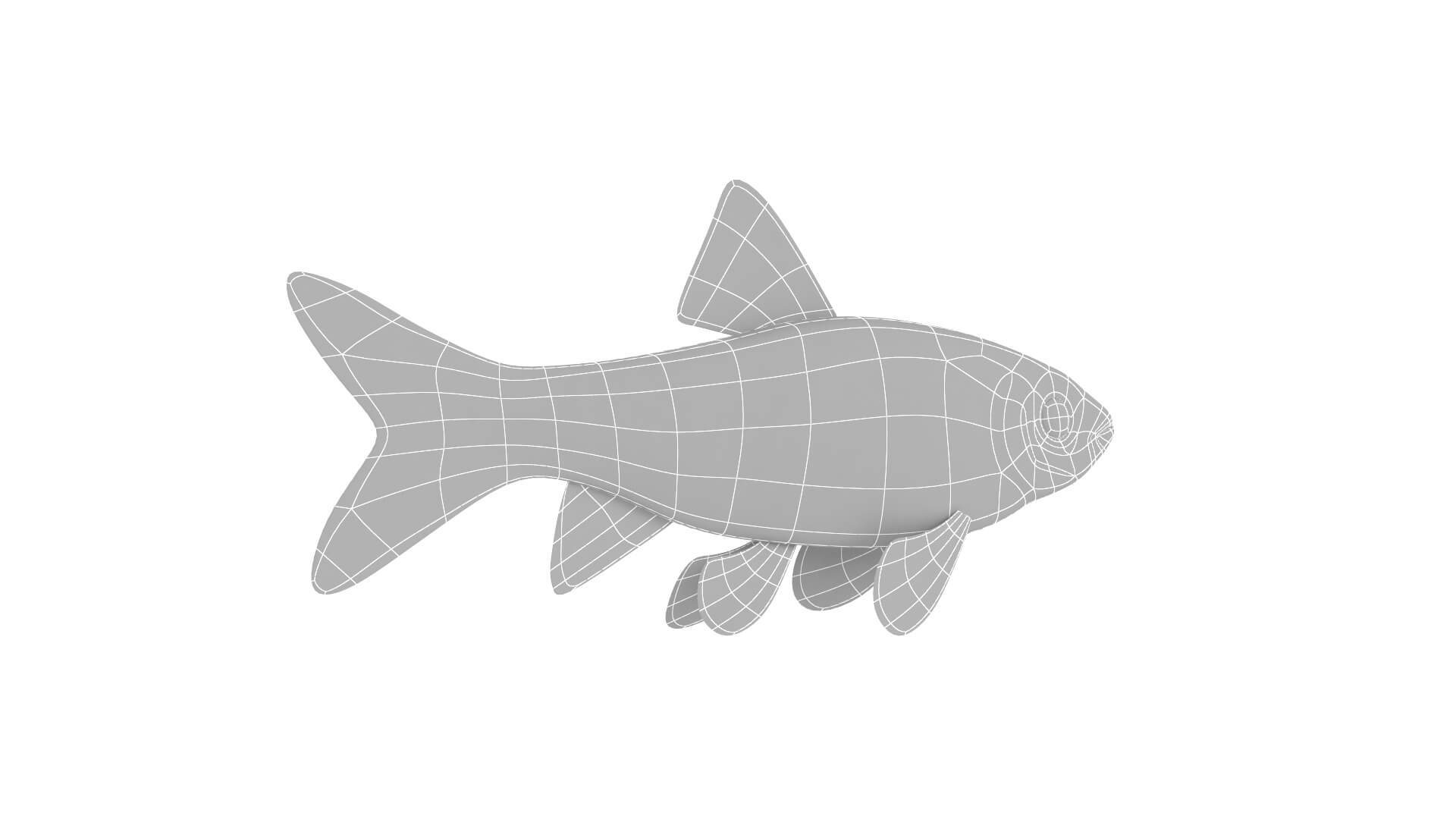 Fish Collection 3D Model