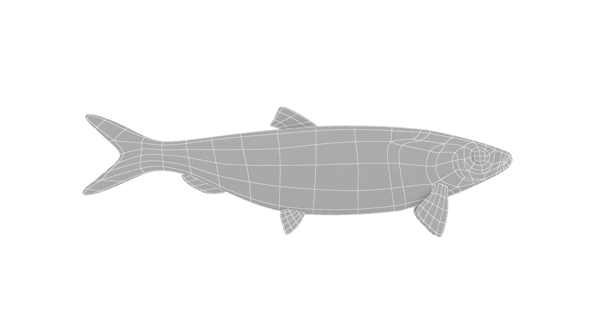 Fish Collection 3D Model