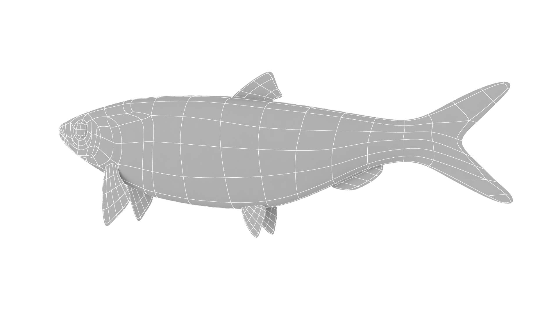 Fish Collection 3D Model