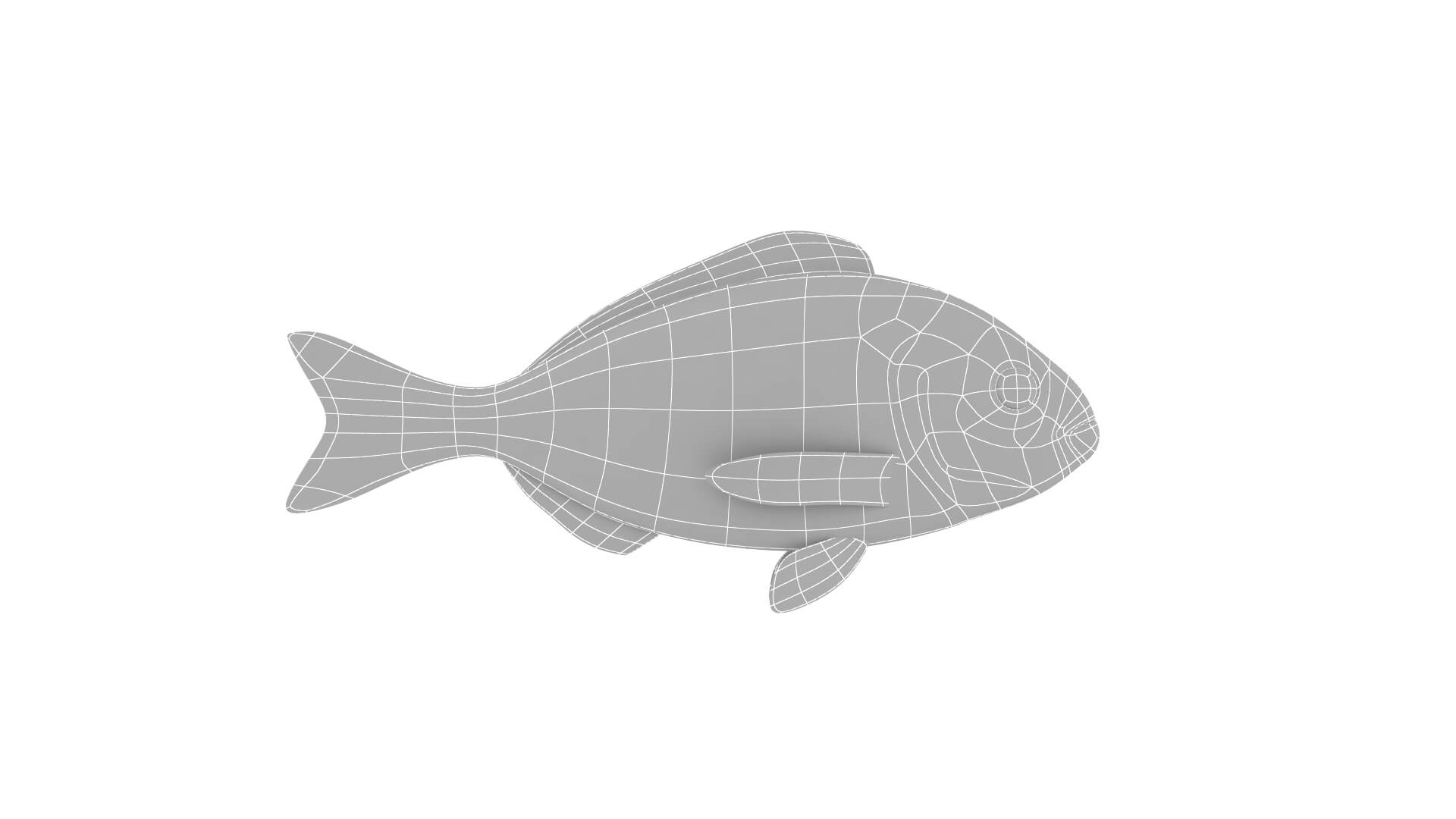 Fish Collection 3D Model