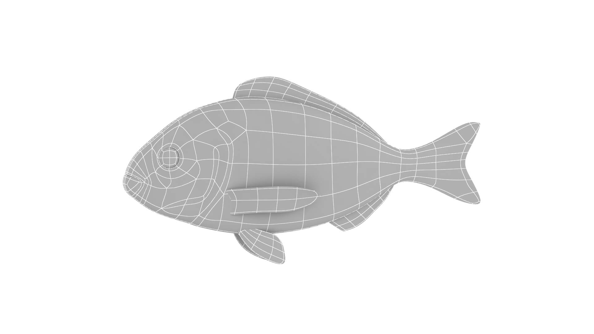 Fish Collection 3D Model