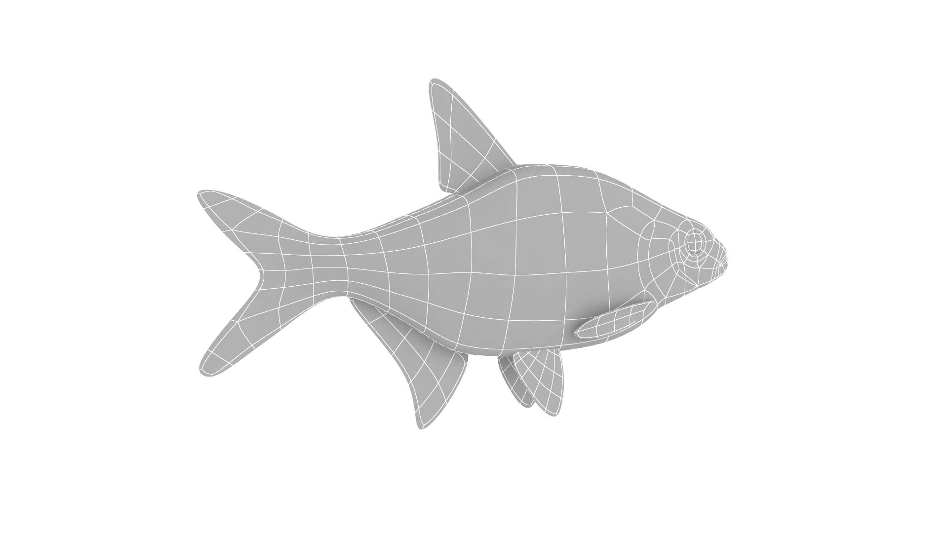 Fish Collection 3D Model