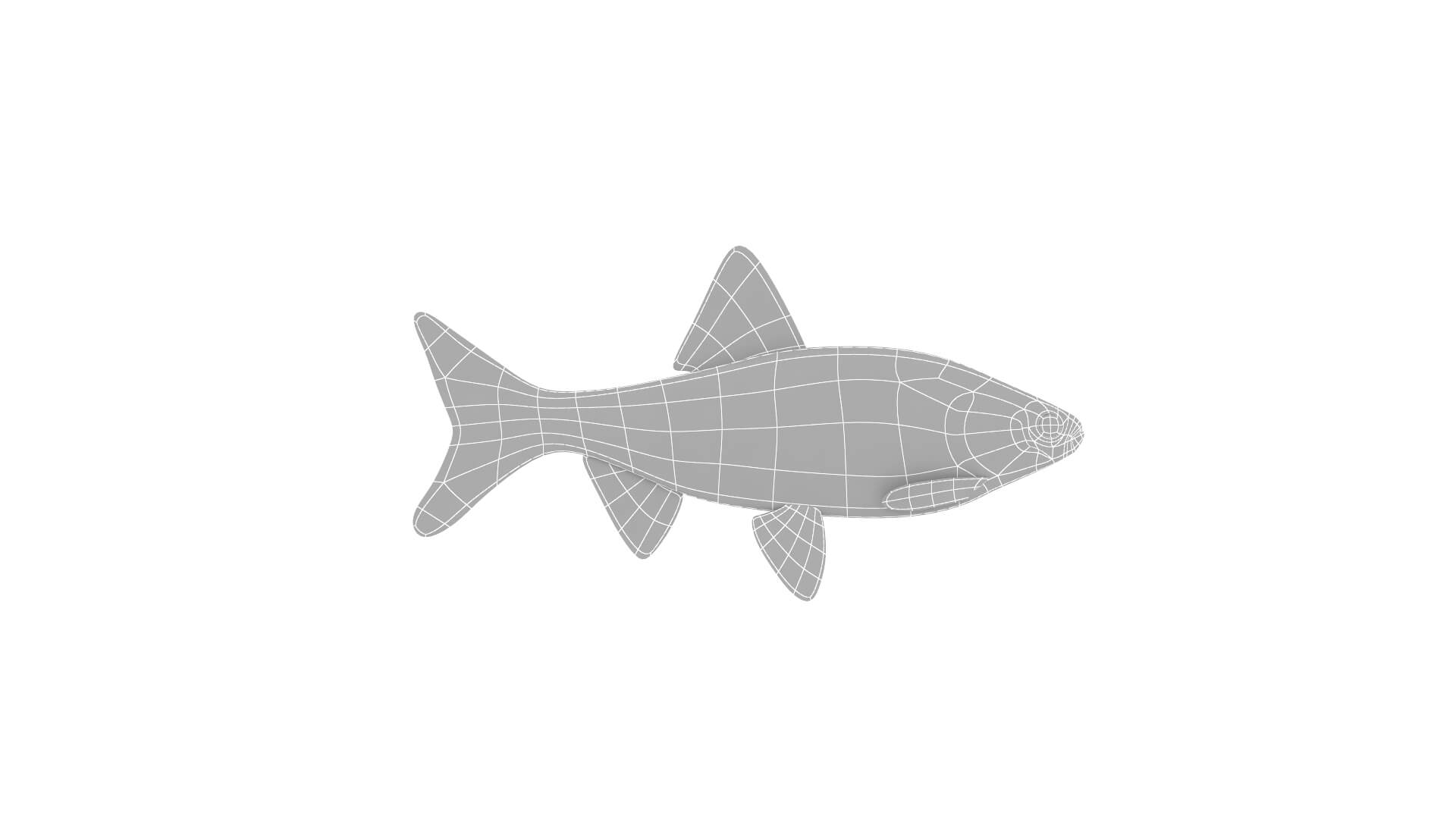 Fish Collection 3D Model