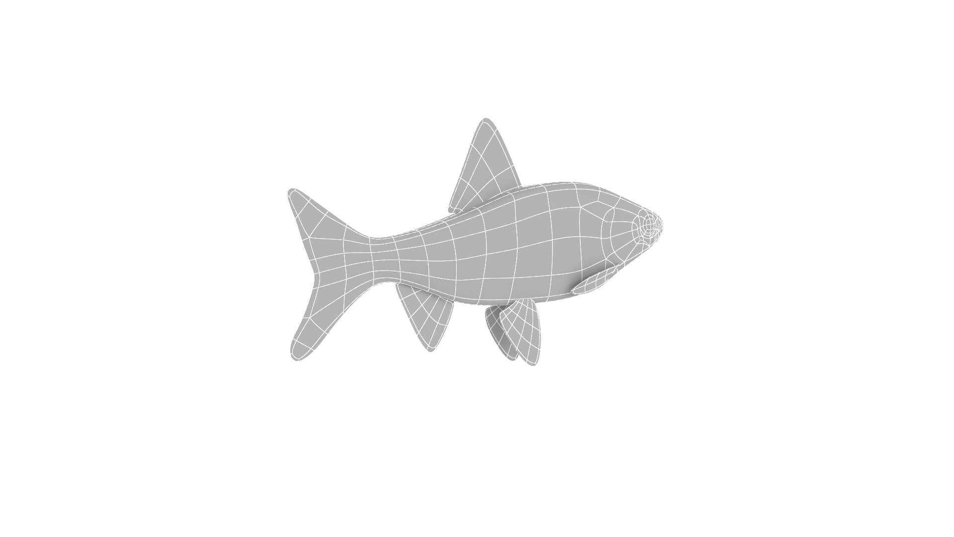 Fish Collection 3D Model