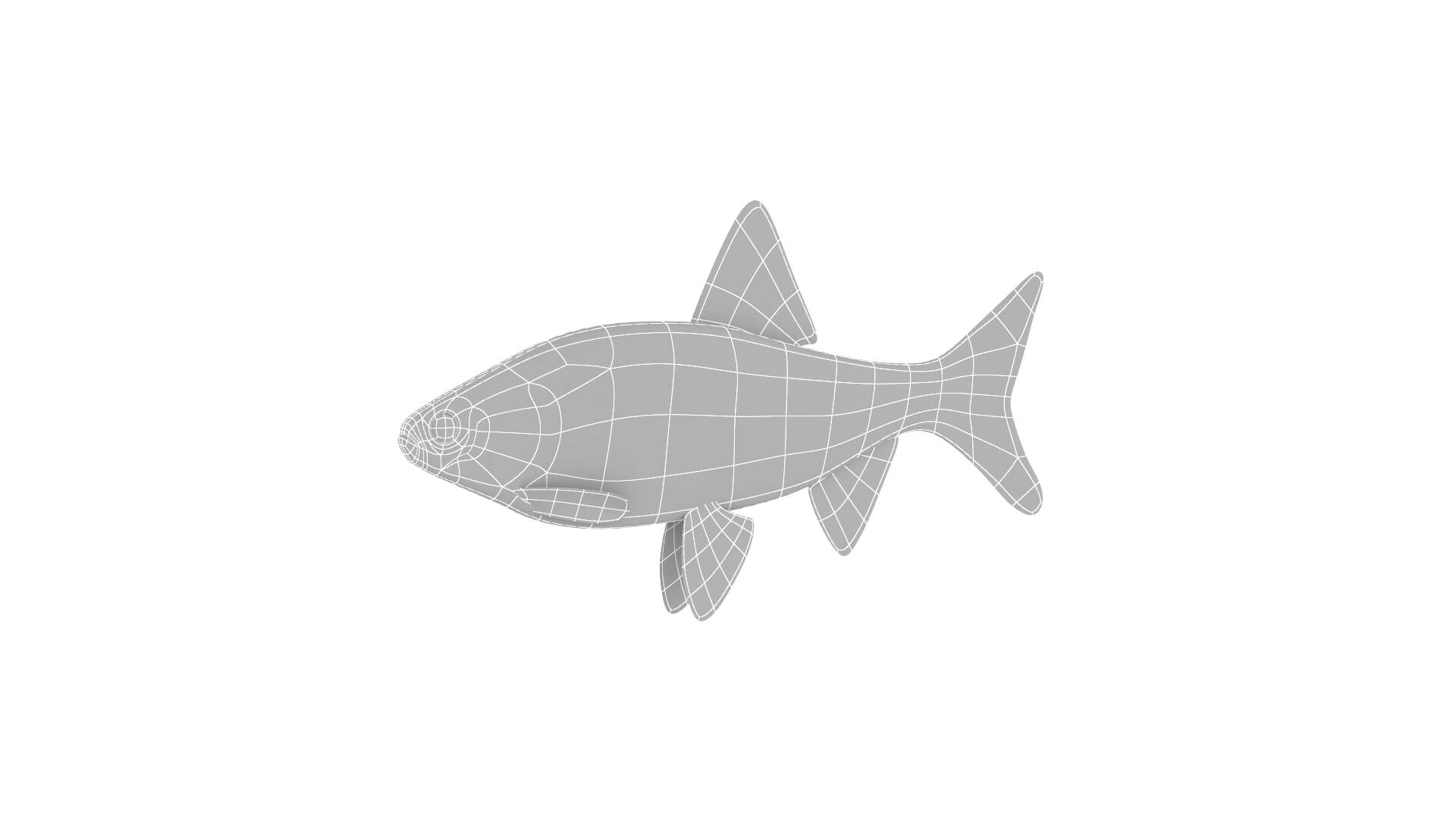 Fish Collection 3D Model