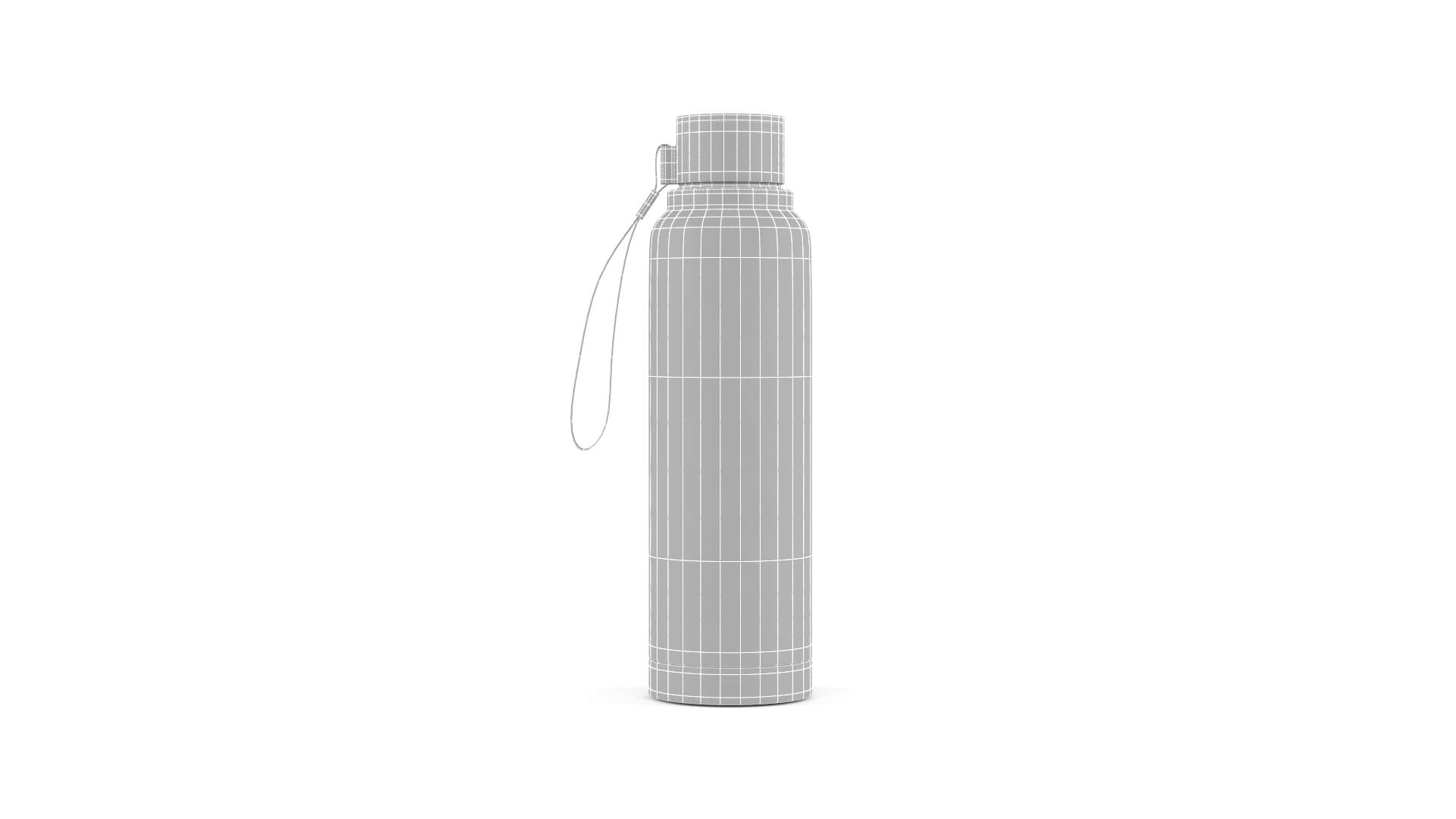 Water Bottle Collection 3D Model