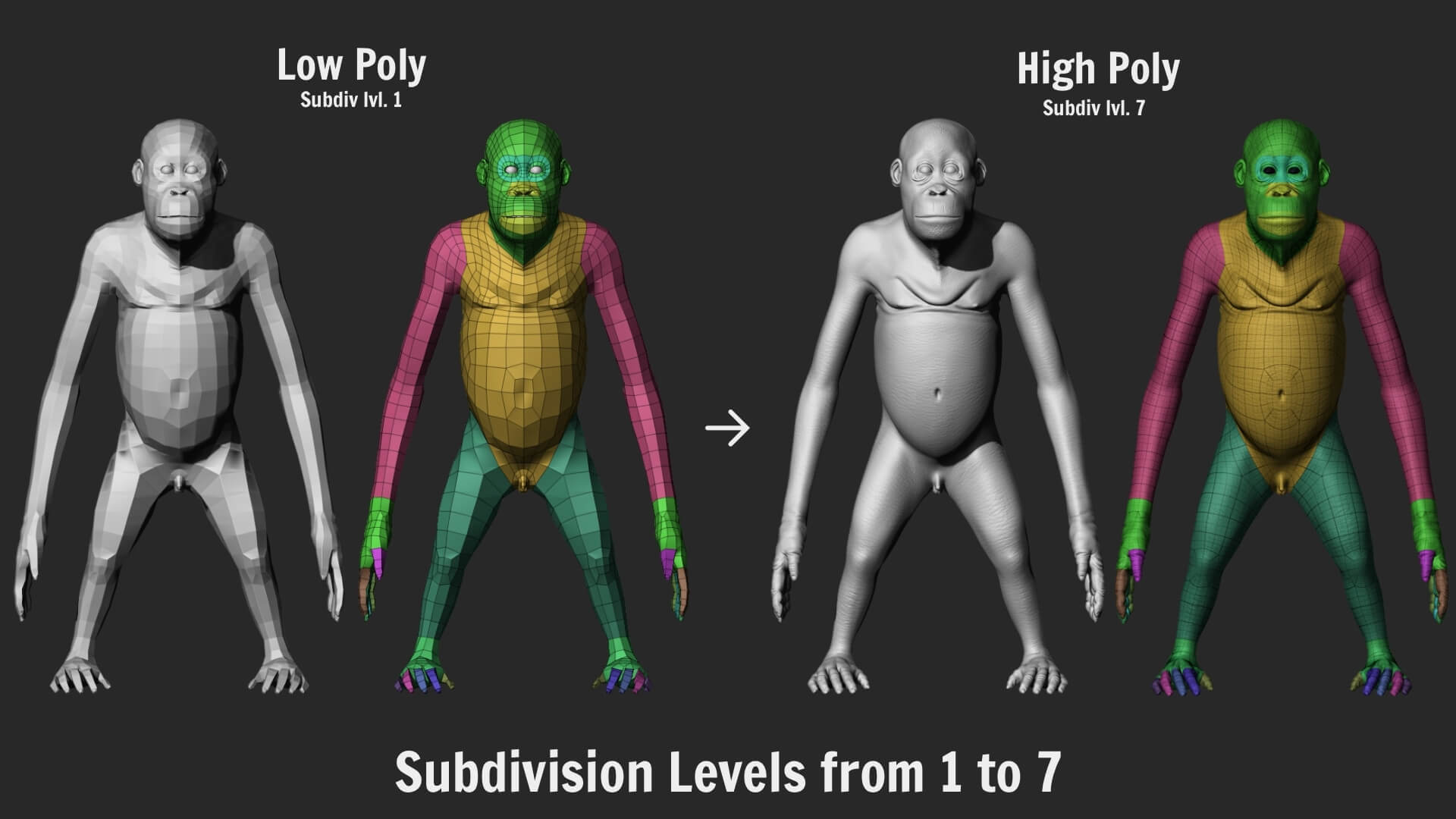 Orangutan with 38 Blendshapes and Anatomy 3D Model 3D Model
