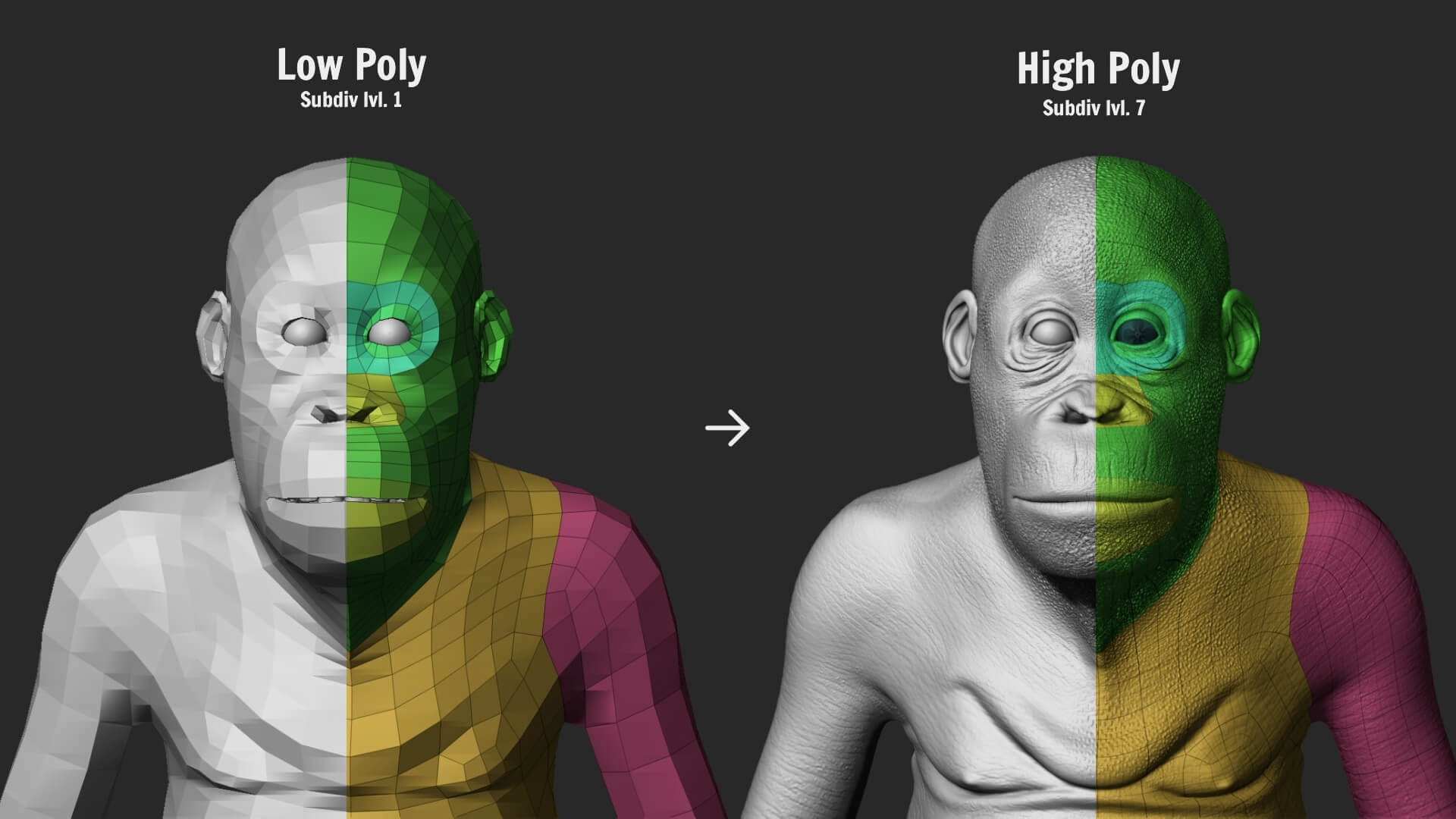 Orangutan with 38 Blendshapes and Anatomy 3D Model 3D Model