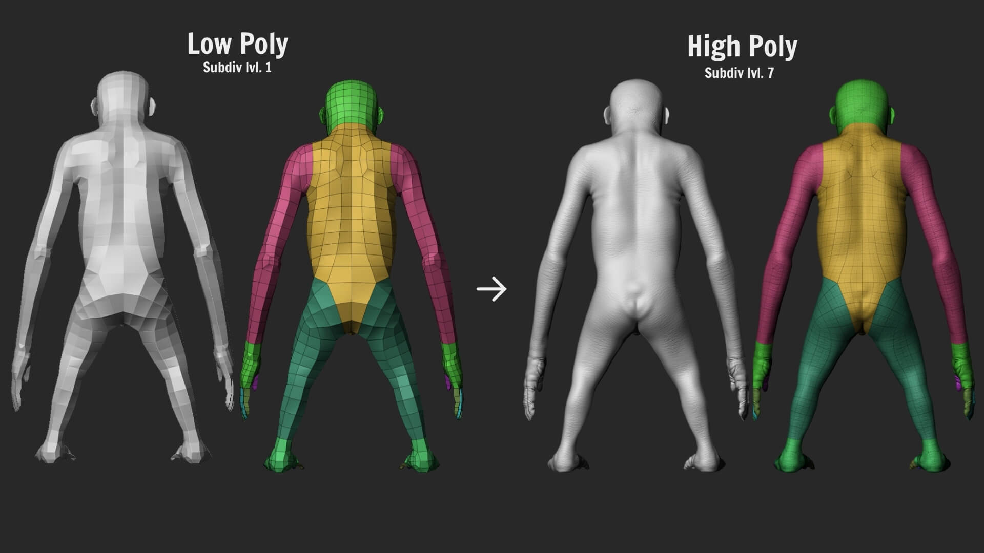 Orangutan with 38 Blendshapes and Anatomy 3D Model 3D Model