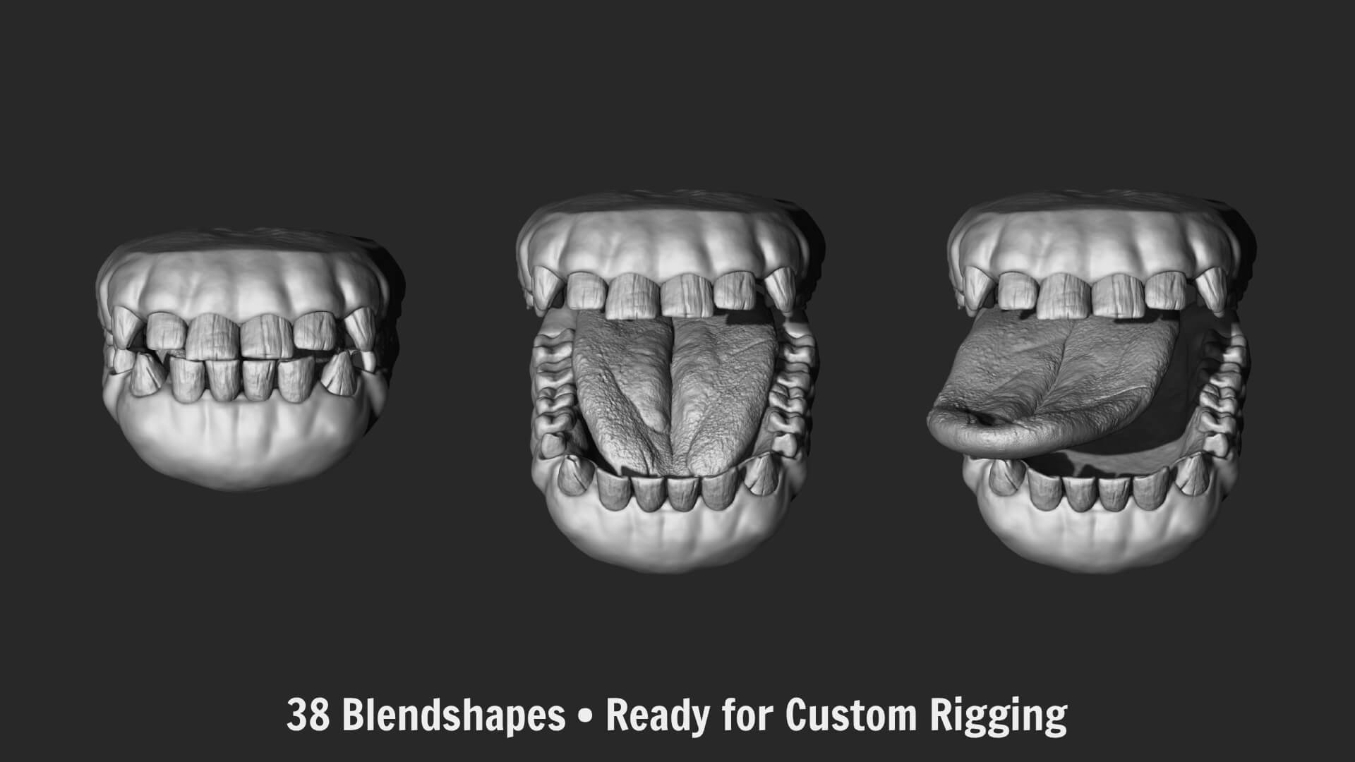 Orangutan with 38 Blendshapes and Anatomy 3D Model 3D Model