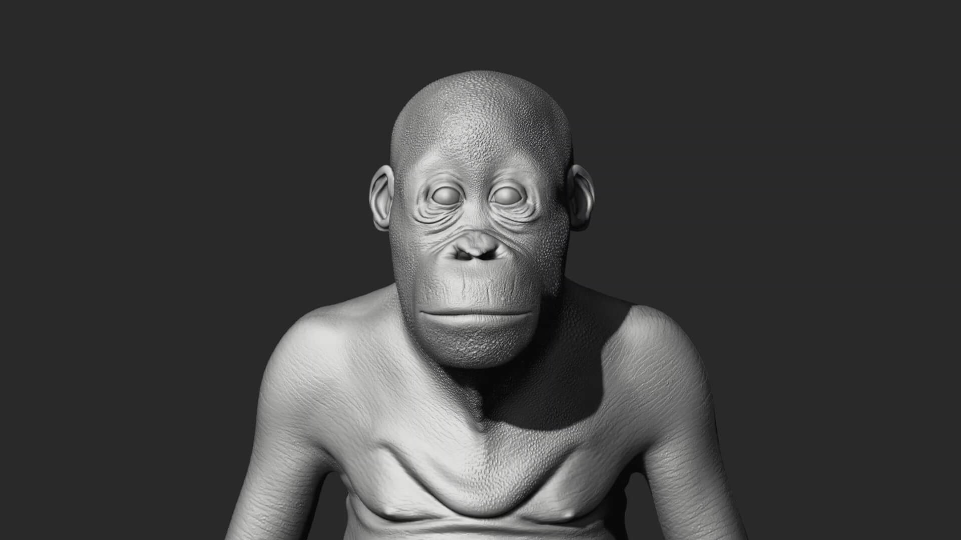 Orangutan with 38 Blendshapes and Anatomy 3D Model 3D Model
