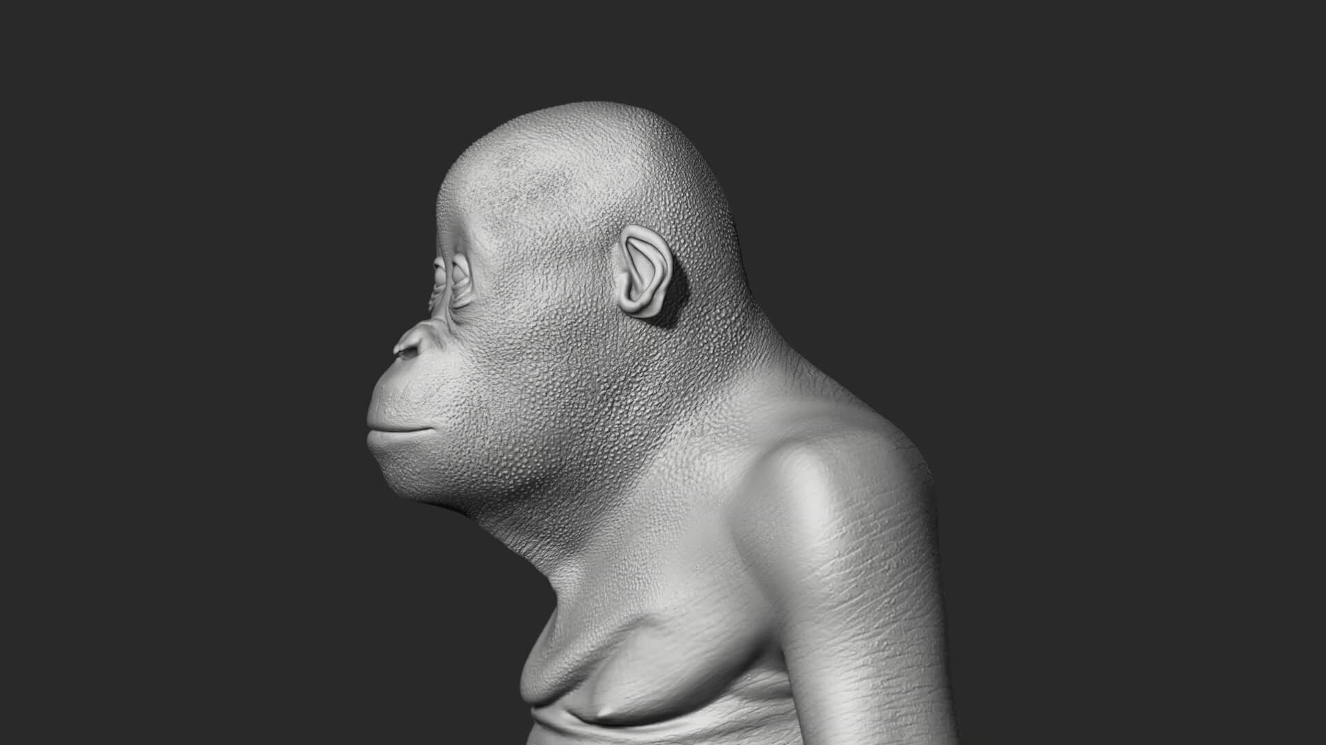 Orangutan with 38 Blendshapes and Anatomy 3D Model 3D Model