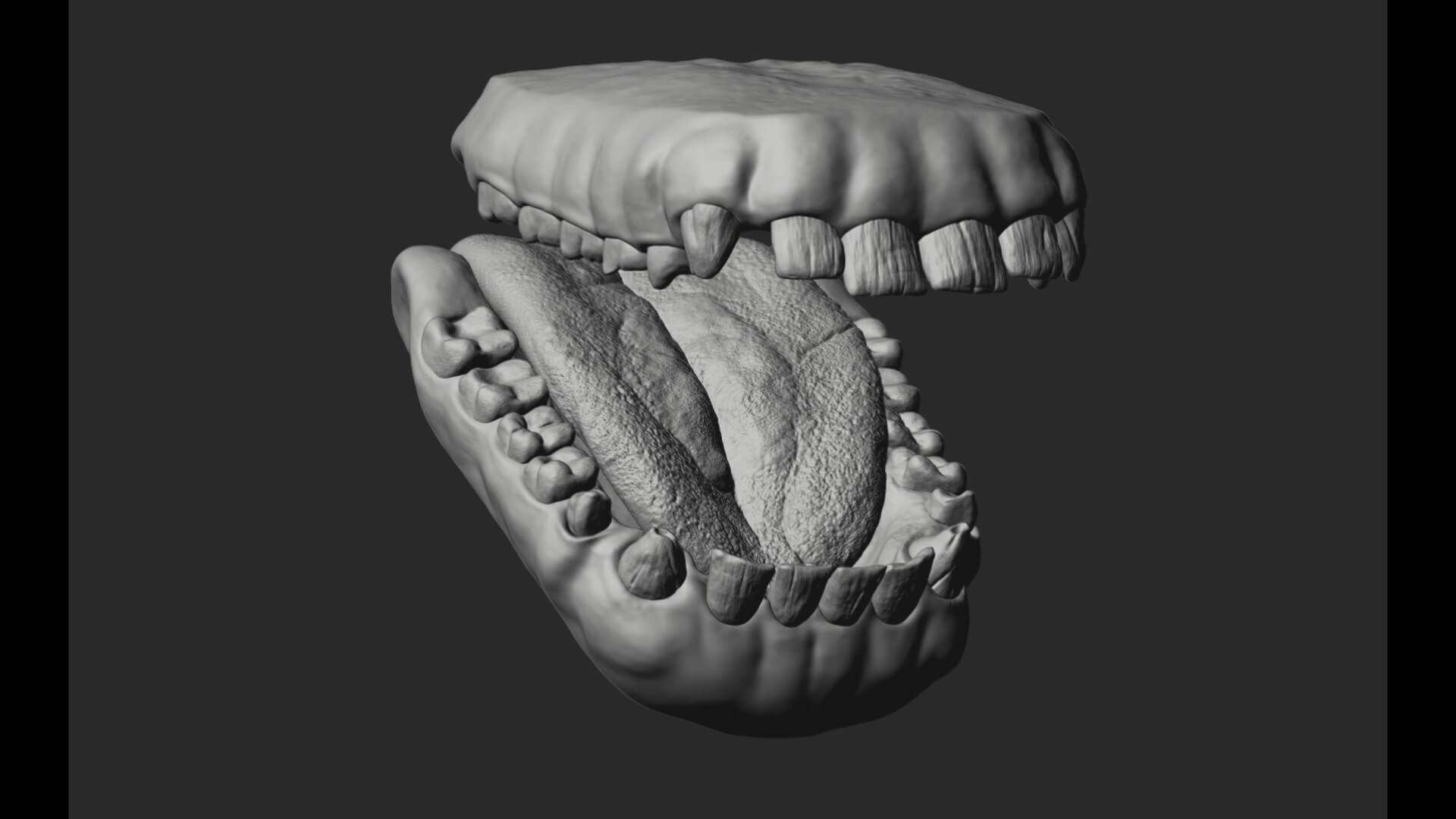 Orangutan with 38 Blendshapes and Anatomy 3D Model 3D Model