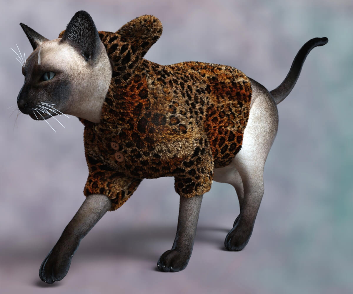 Fuzzy Coat for DAZ Housecat Daz Content
